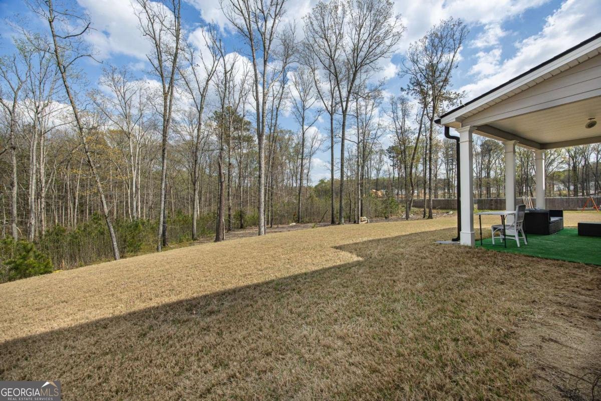 379 Blue Juniper Circle Loganville - Photo 26