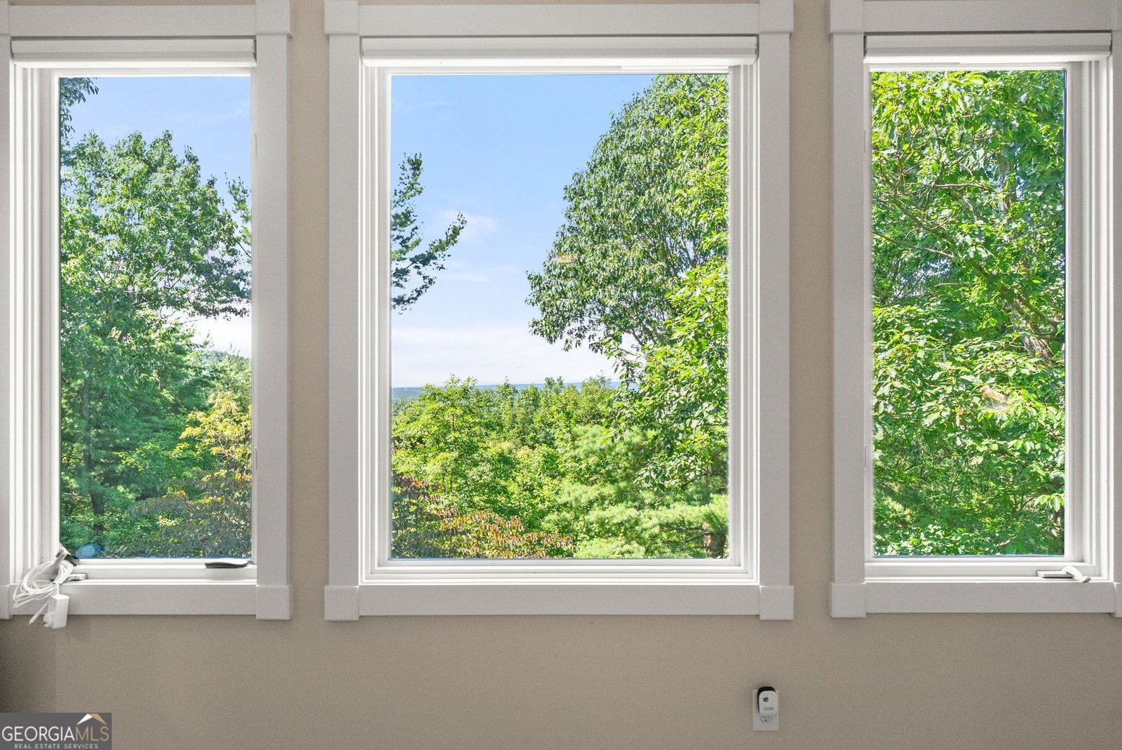 44 Sassafras Ridge Jasper - Photo 19