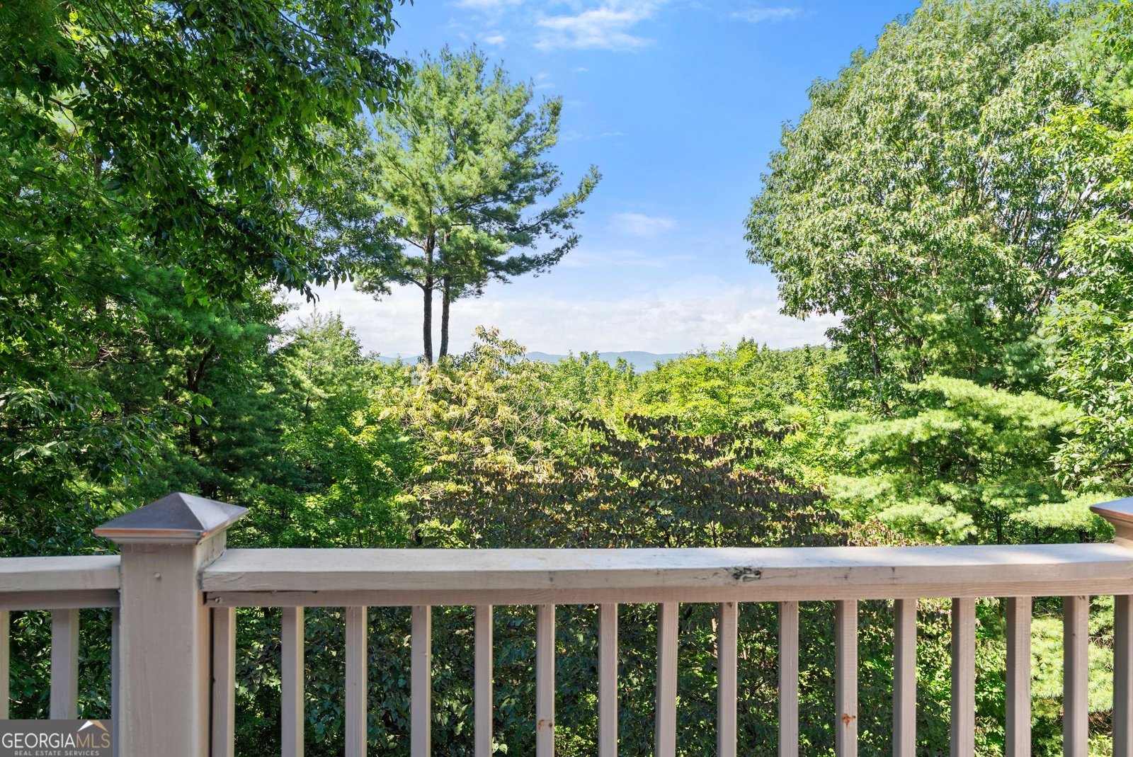 44 Sassafras Ridge Jasper - Photo 52