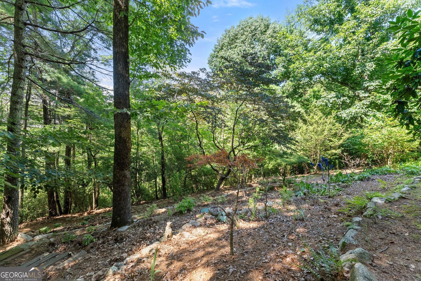 44 Sassafras Ridge Jasper - Photo 56