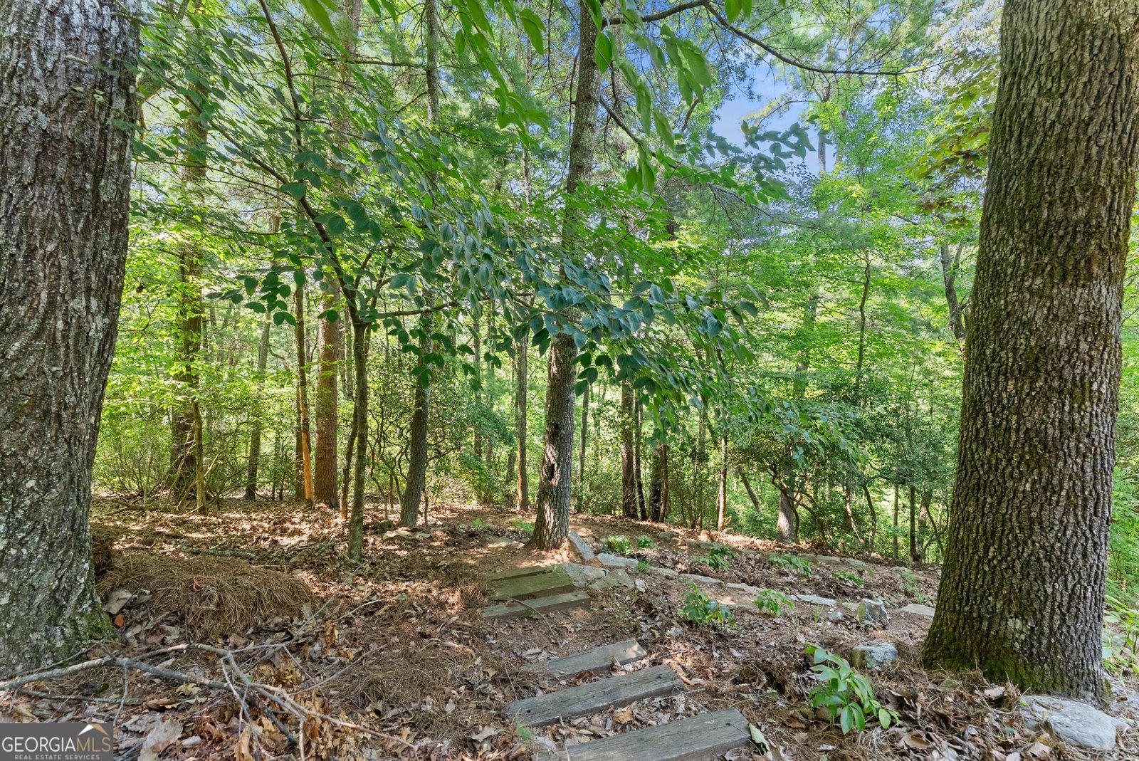 44 Sassafras Ridge Jasper - Photo 58