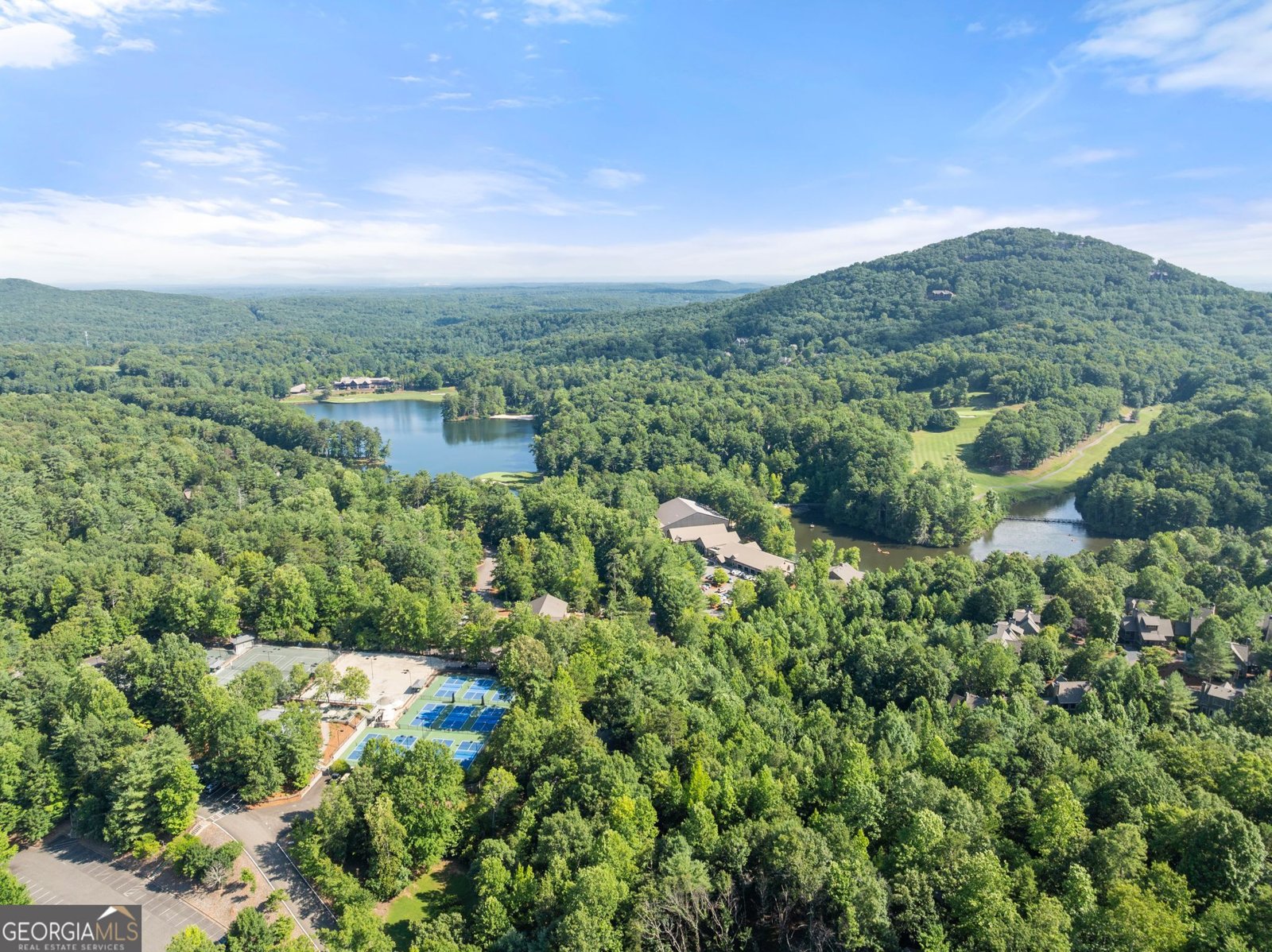 44 Sassafras Ridge Jasper - Photo 67