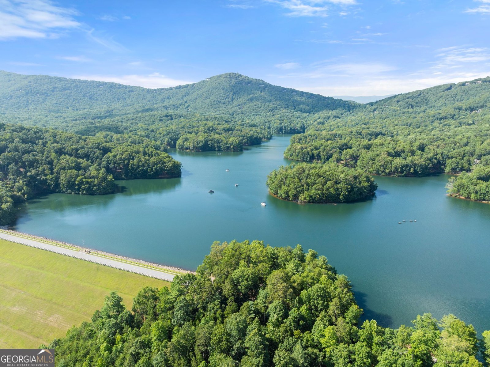 44 Sassafras Ridge Jasper - Photo 70