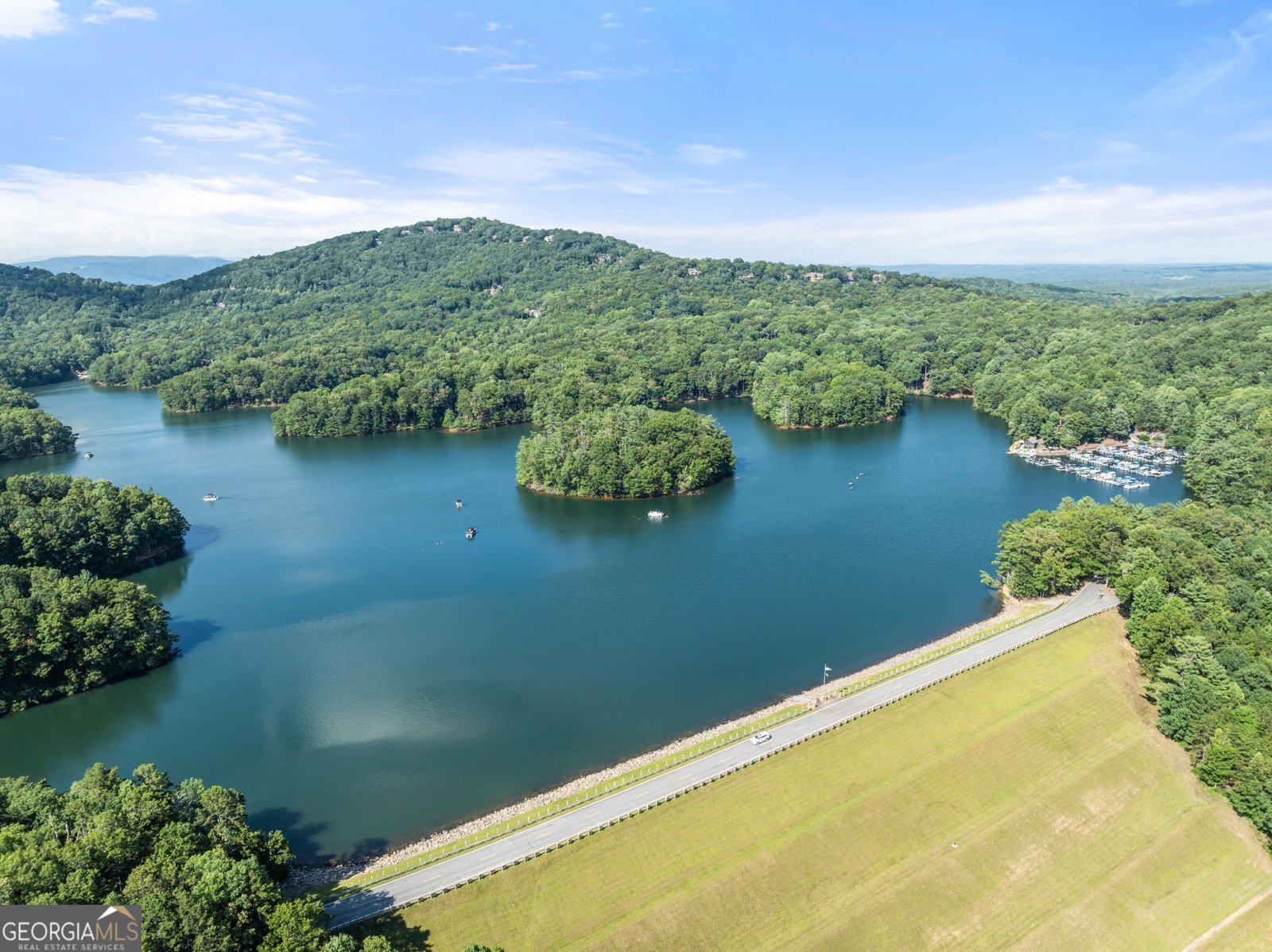44 Sassafras Ridge Jasper - Photo 71