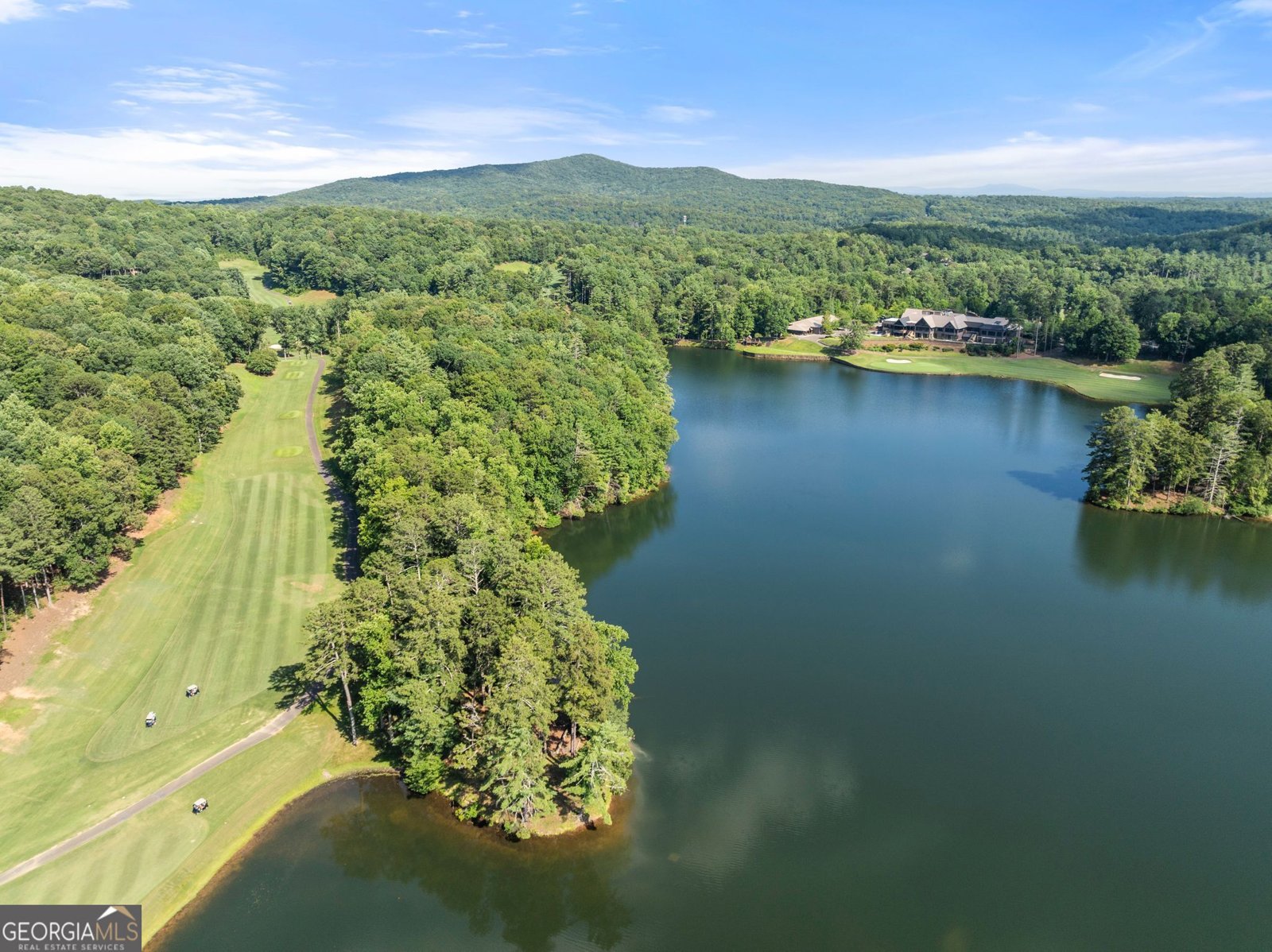 44 Sassafras Ridge Jasper - Photo 73