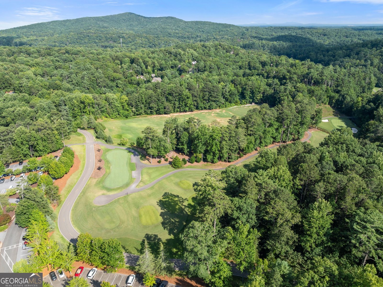 44 Sassafras Ridge Jasper - Photo 74