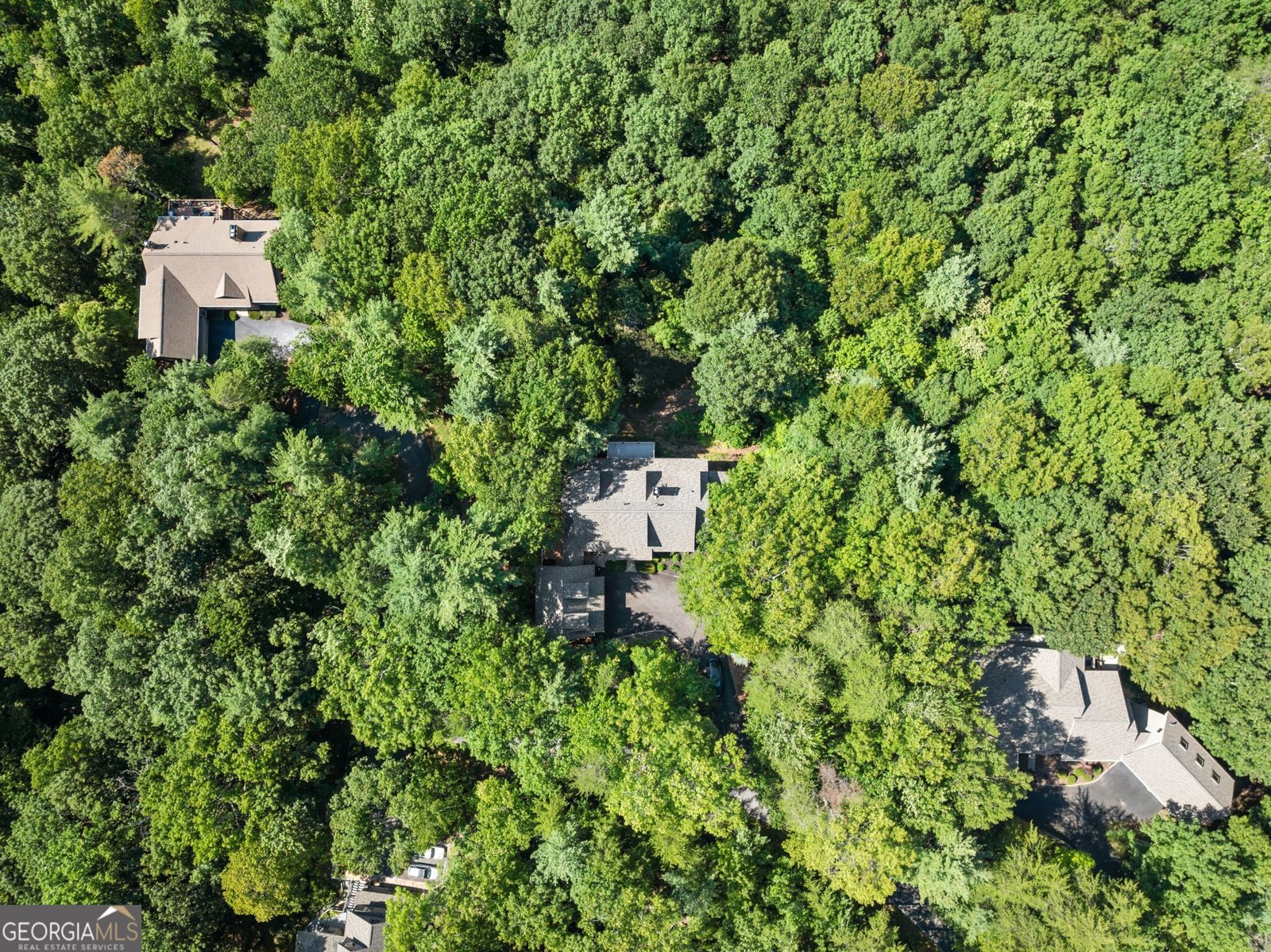 44 Sassafras Ridge Jasper - Photo 75