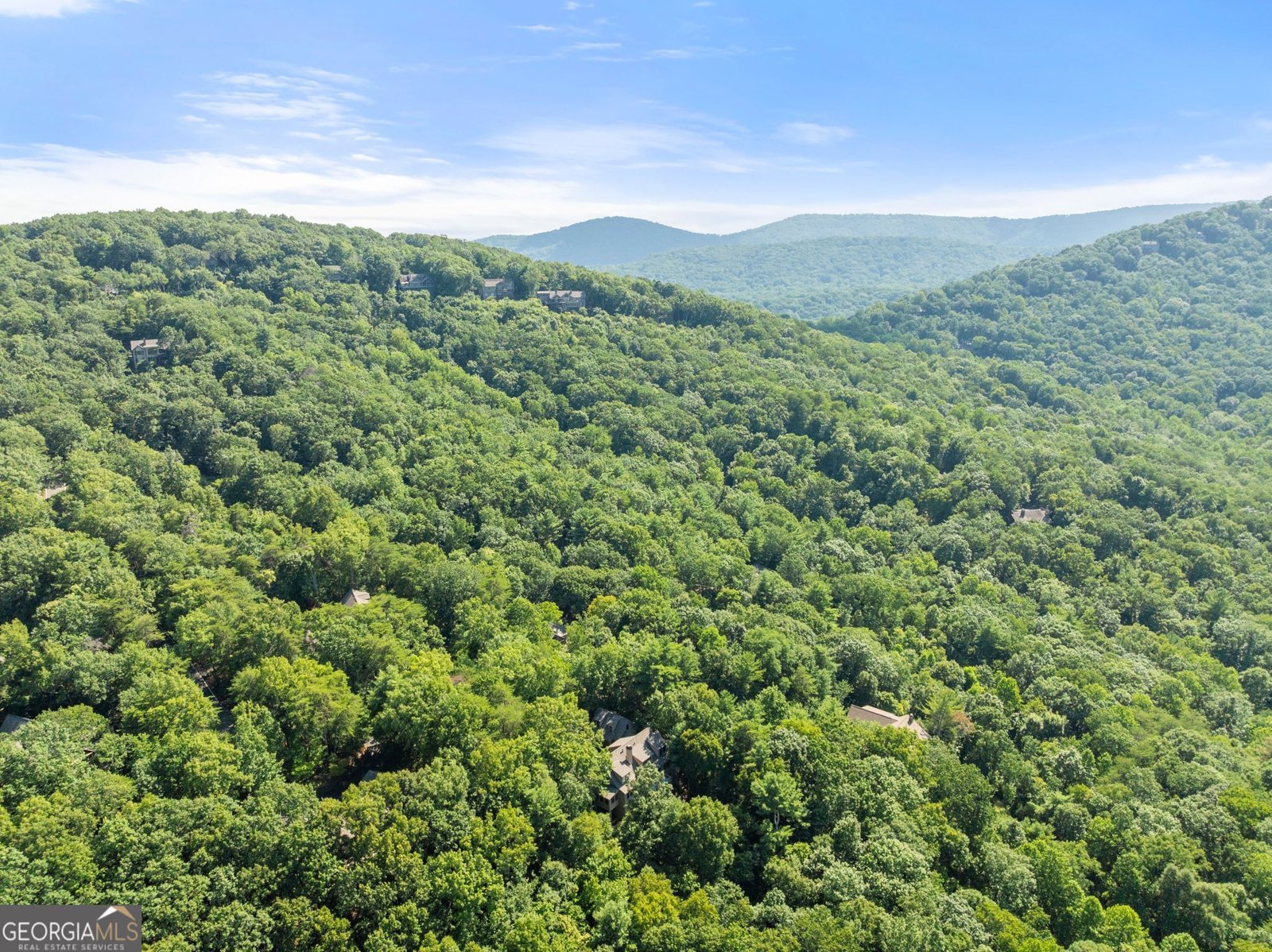 44 Sassafras Ridge Jasper - Photo 77