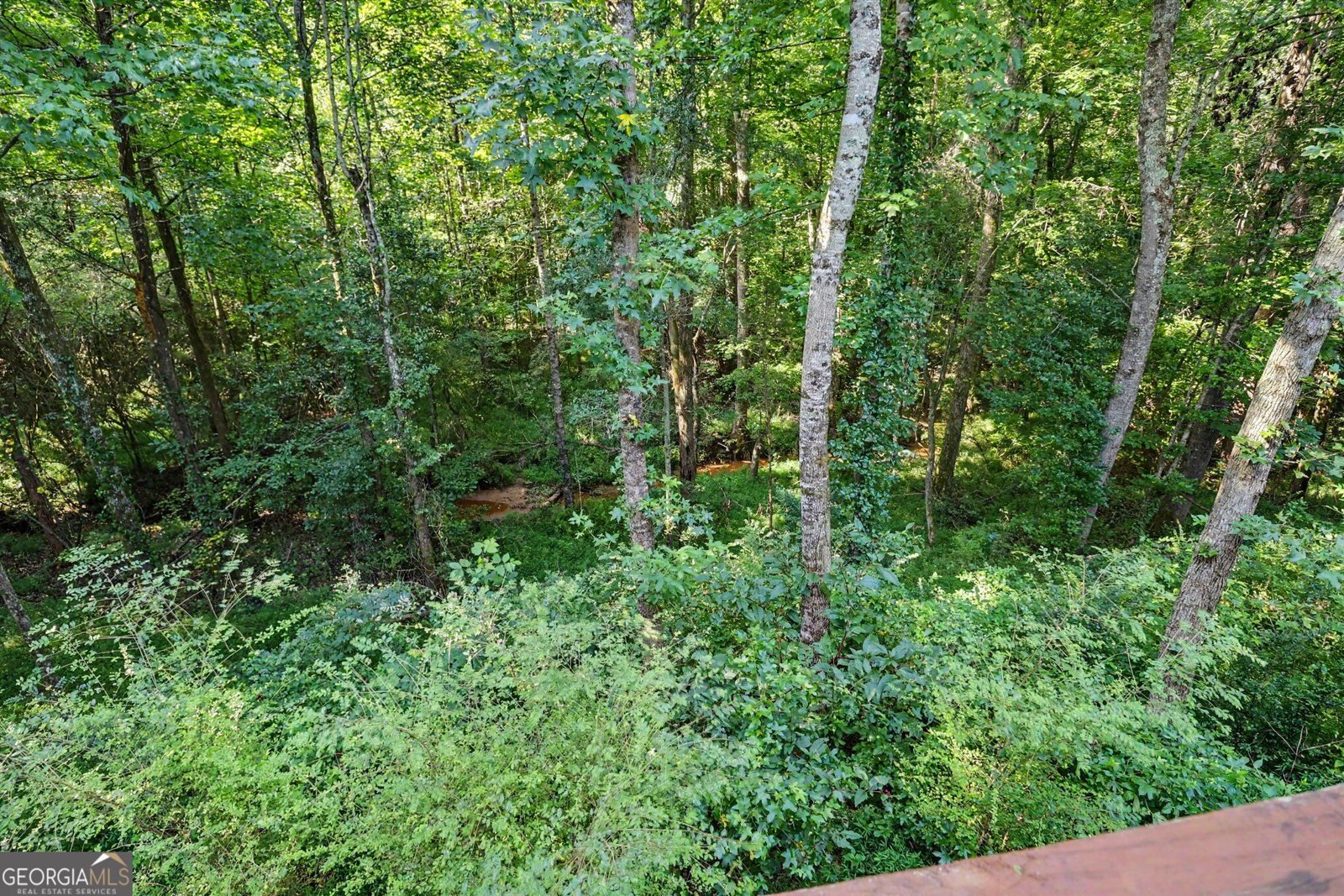 731 Dawn Place Alto - Photo 38