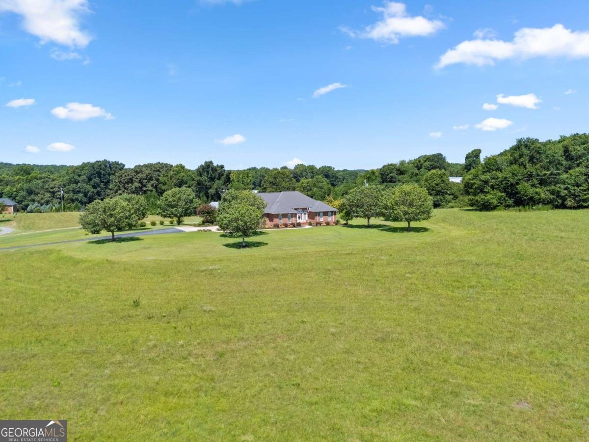 1121 Beacon Light Road Hartwell - Photo 53