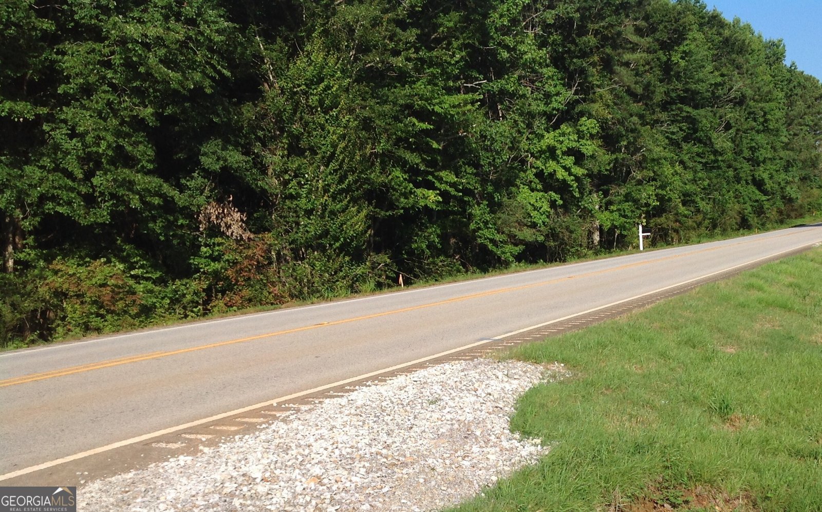 14885 Hwy 46 Heflin - Photo 52
