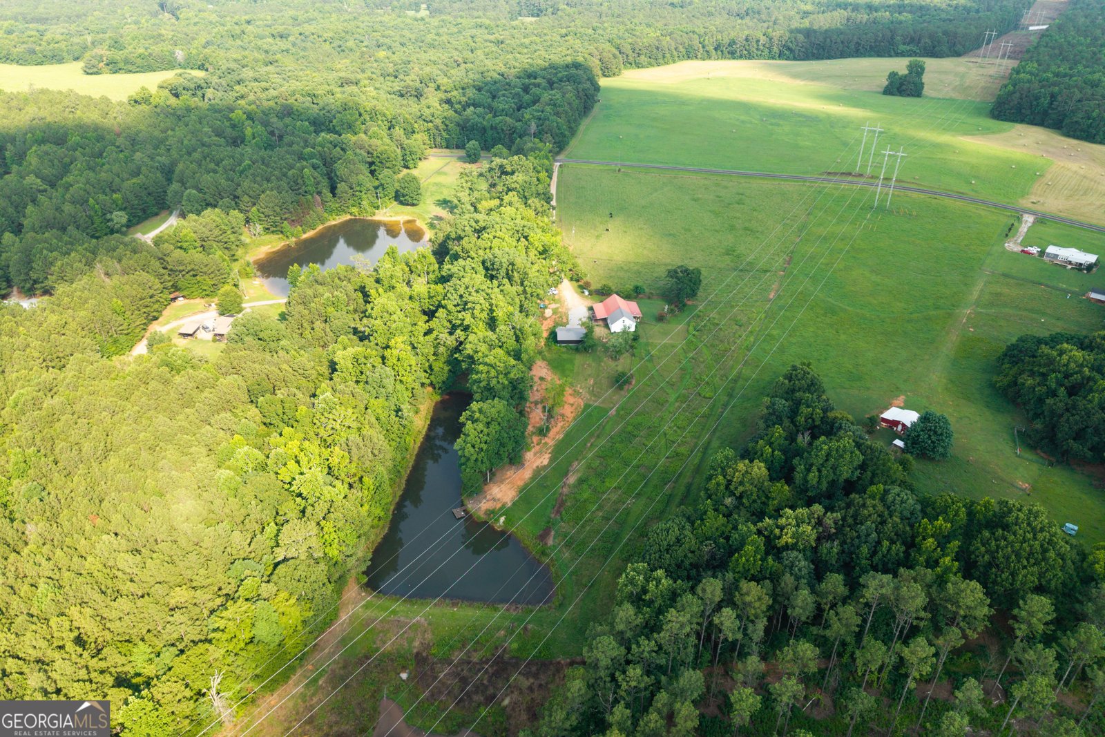 1441 Dickson Road Rutledge - Photo 34
