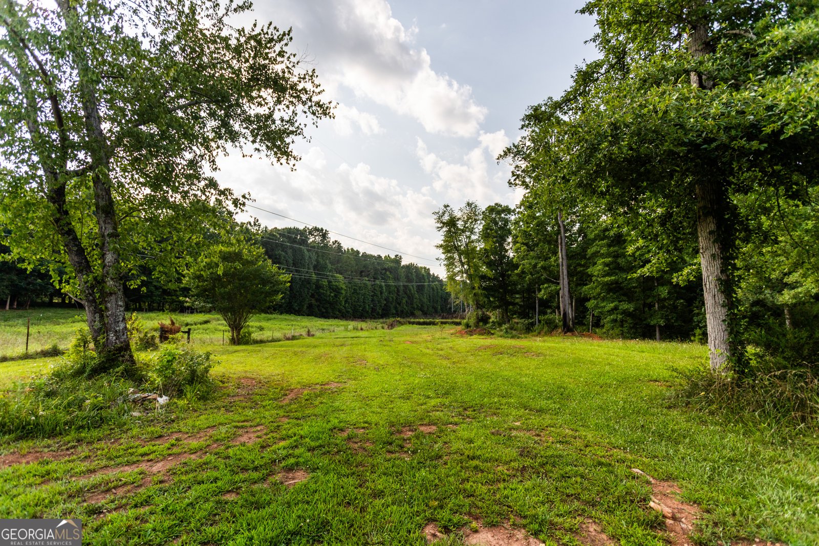 1441 Dickson Road Rutledge - Photo 35