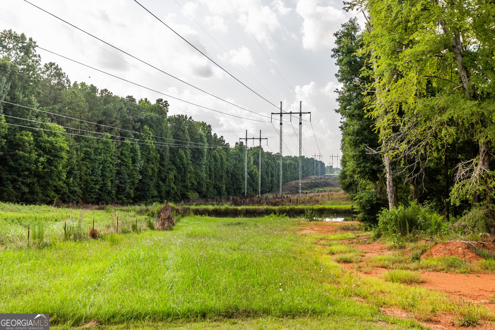 1441 Dickson Road Rutledge - Photo 36