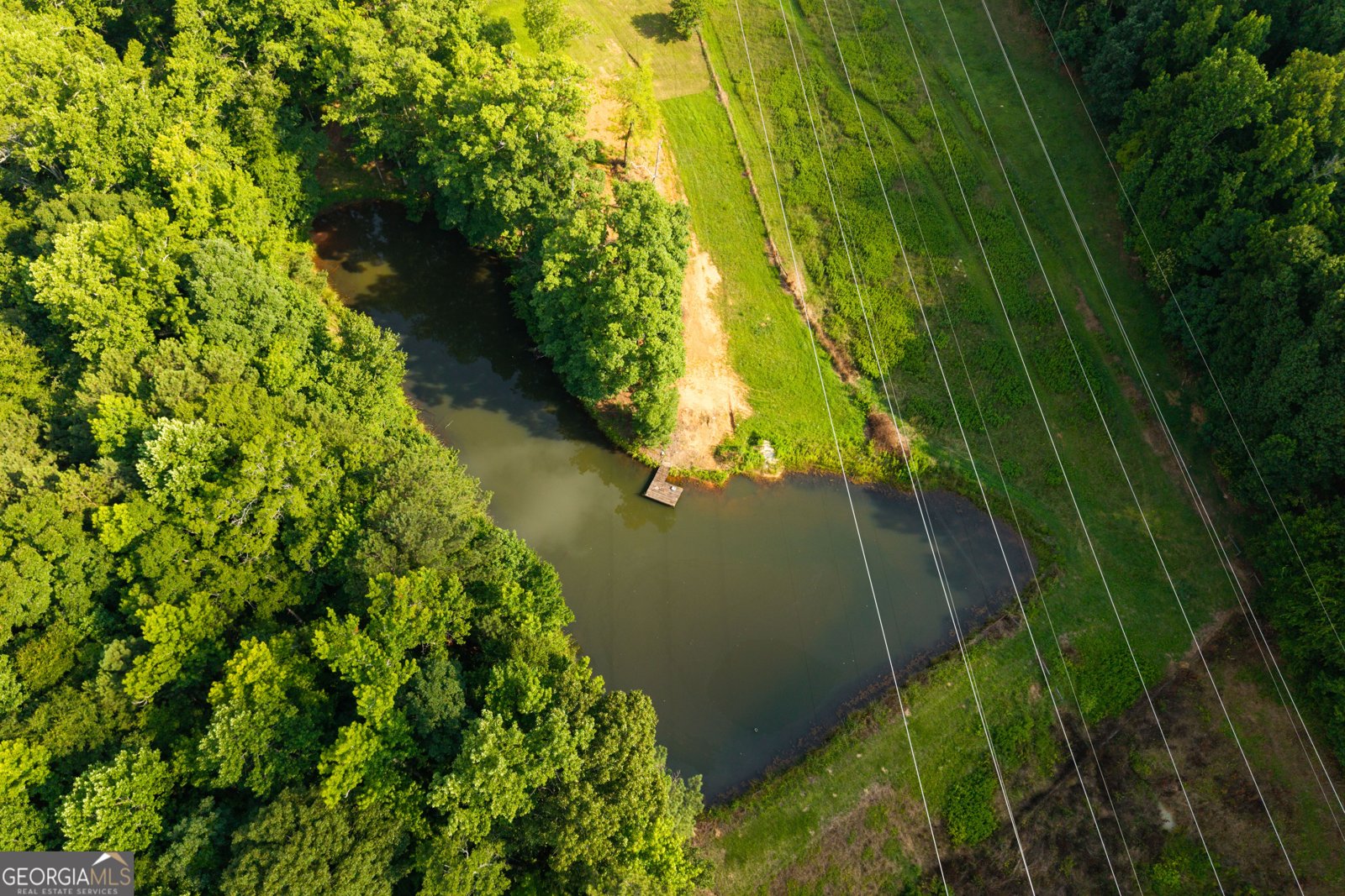 1441 Dickson Road Rutledge - Photo 45