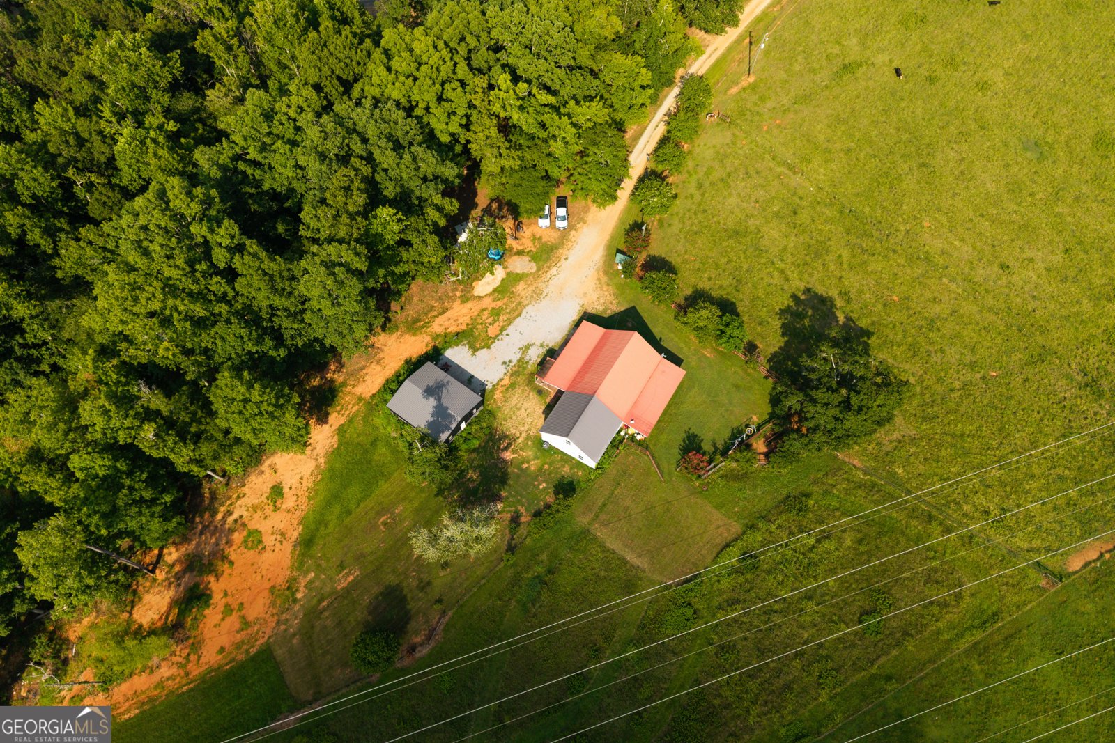 1441 Dickson Road Rutledge - Photo 47