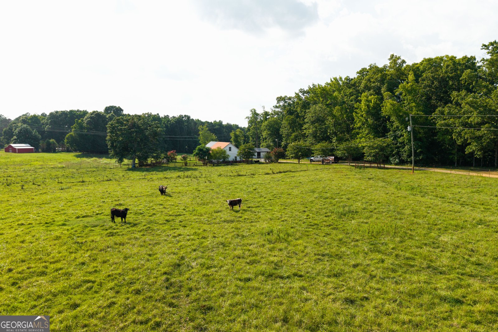 1441 Dickson Road Rutledge - Photo 51