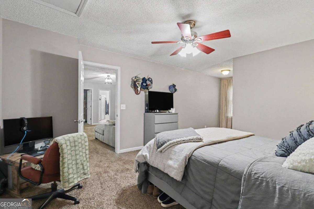 260 Nixon Road Senoia - Photo 26