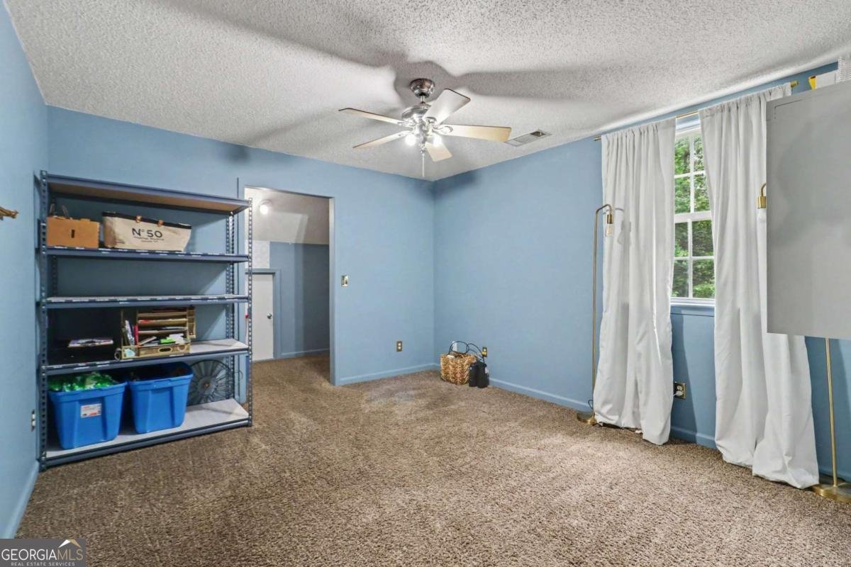 260 Nixon Road Senoia - Photo 30