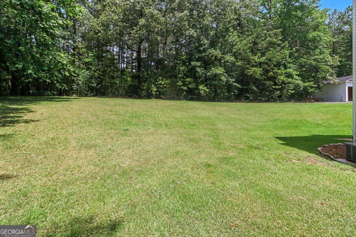 260 Nixon Road Senoia - Photo 46