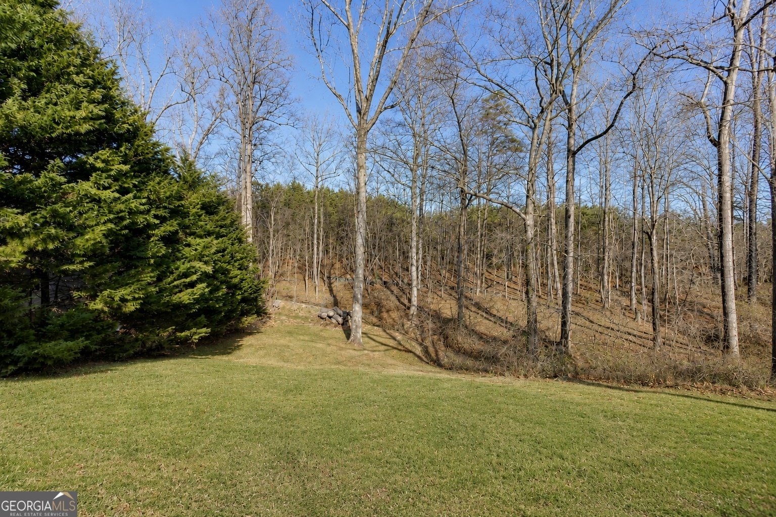 300 Forest Street Buford - Photo 32