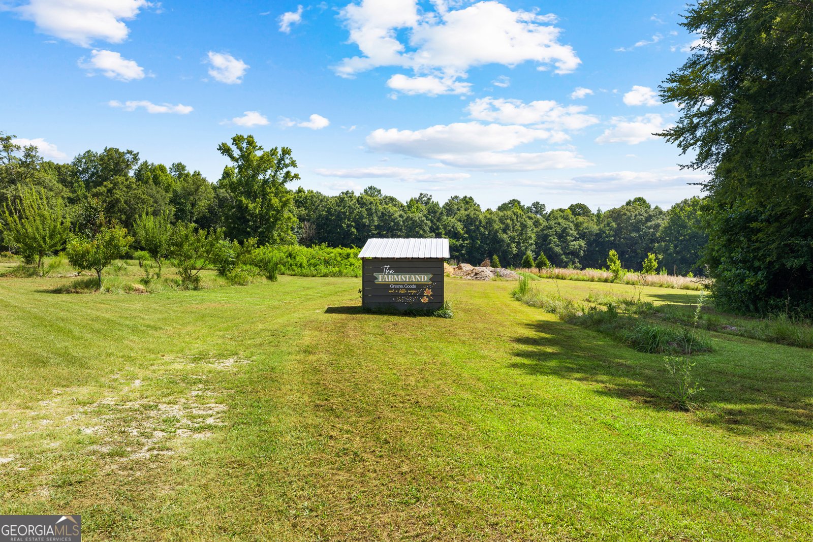456 McIntosh Road Brooks - Photo 50