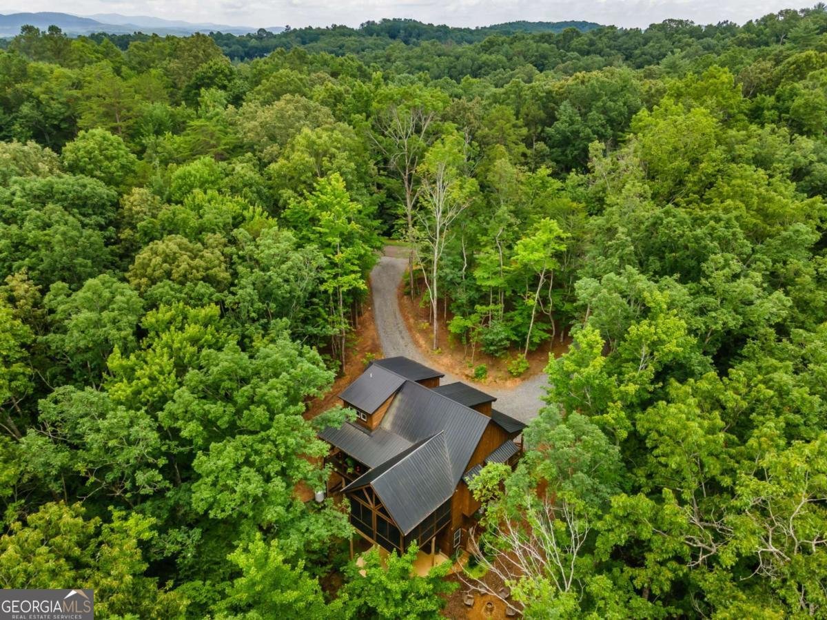167 Trails End Ridge Ellijay - Photo 58