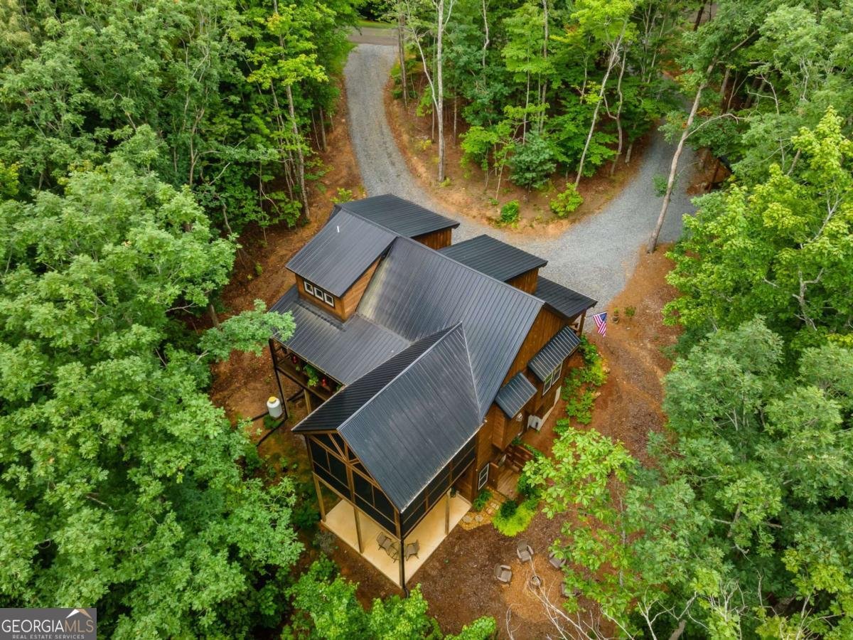 167 Trails End Ridge Ellijay - Photo 59