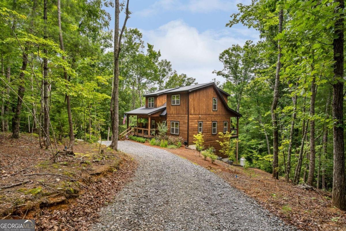 167 Trails End Ridge Ellijay - Photo 60
