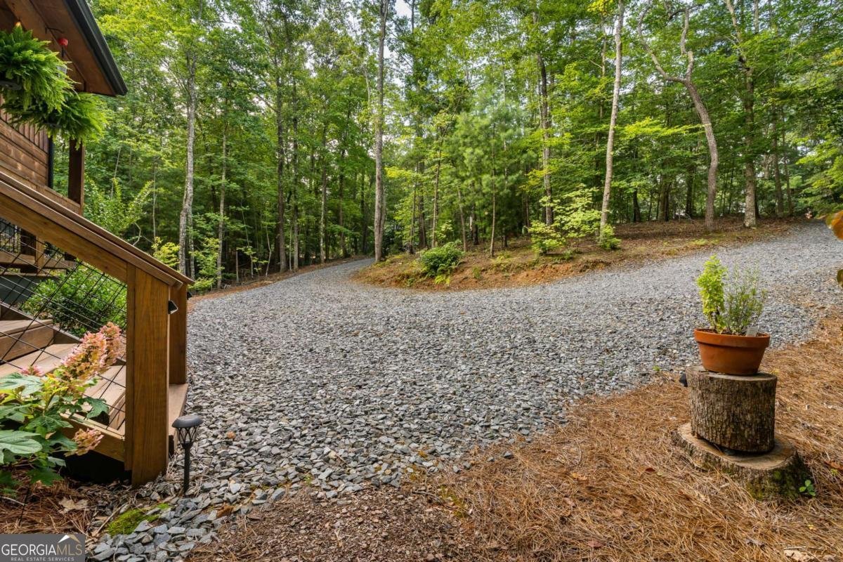 167 Trails End Ridge Ellijay - Photo 61