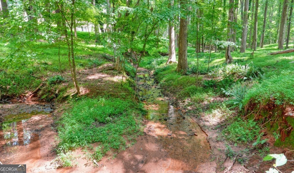 1369 Kelly Mill Trace Cumming - Photo 66