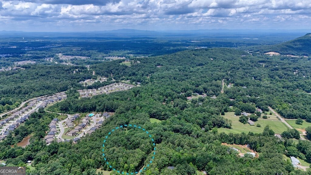 1369 Kelly Mill Trace Cumming - Photo 84