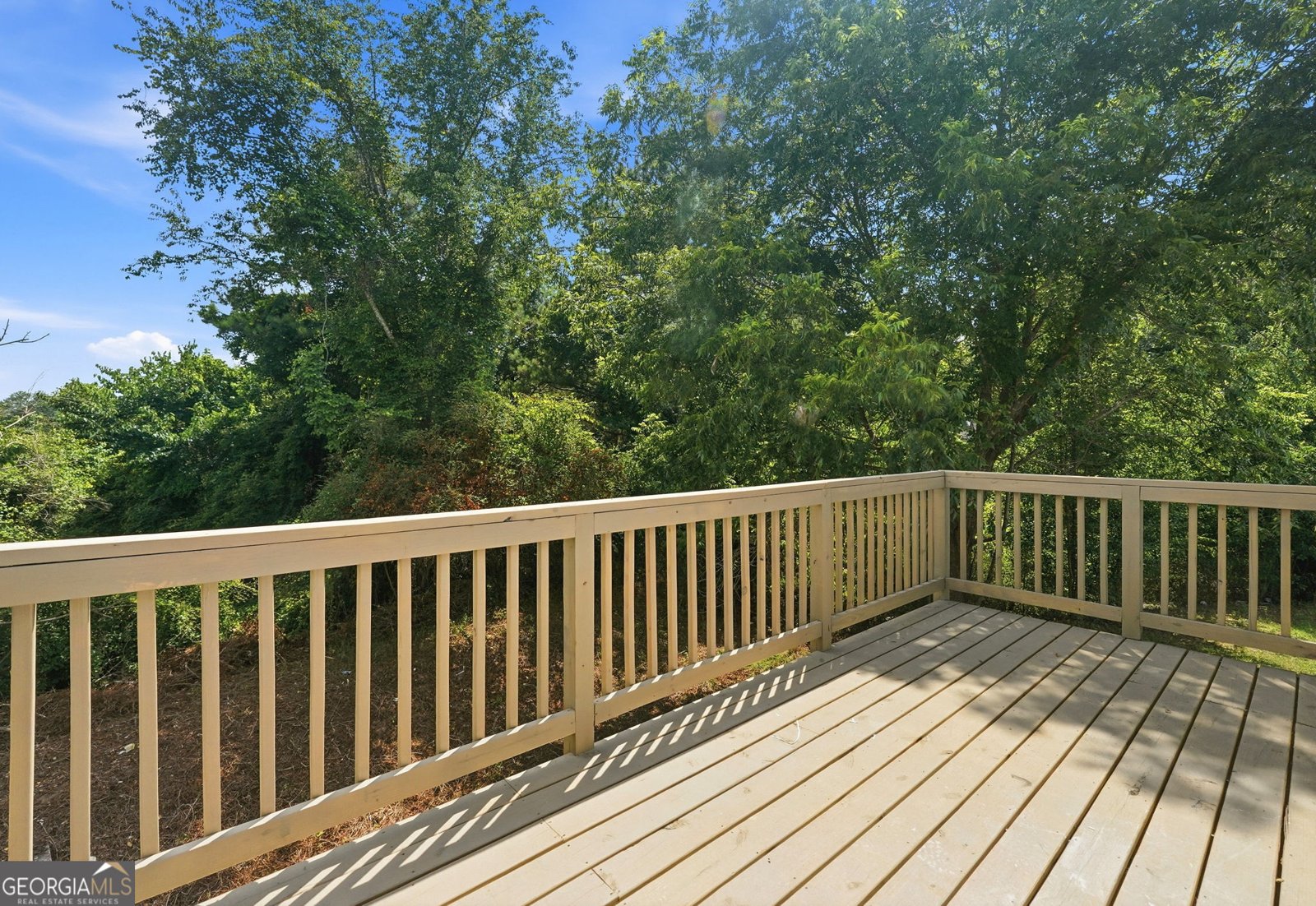 2704 Field Spring Drive Lithonia - Photo 20