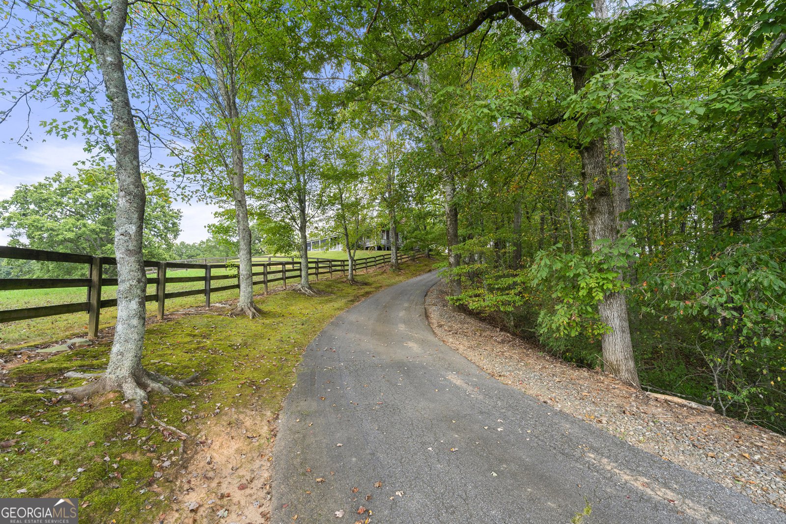 2653 Ben T Huiet Hwy Clarkesville - Photo 57