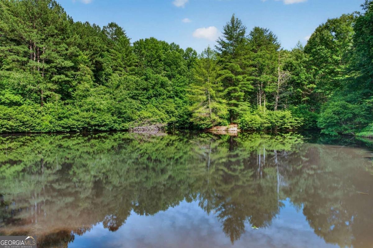 24 Twin Lakes Road Blue Ridge - Photo 11