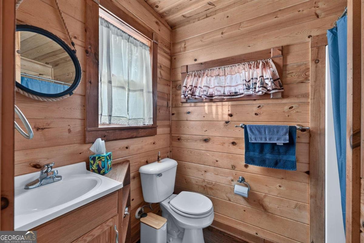 24 Twin Lakes Road Blue Ridge - Photo 48