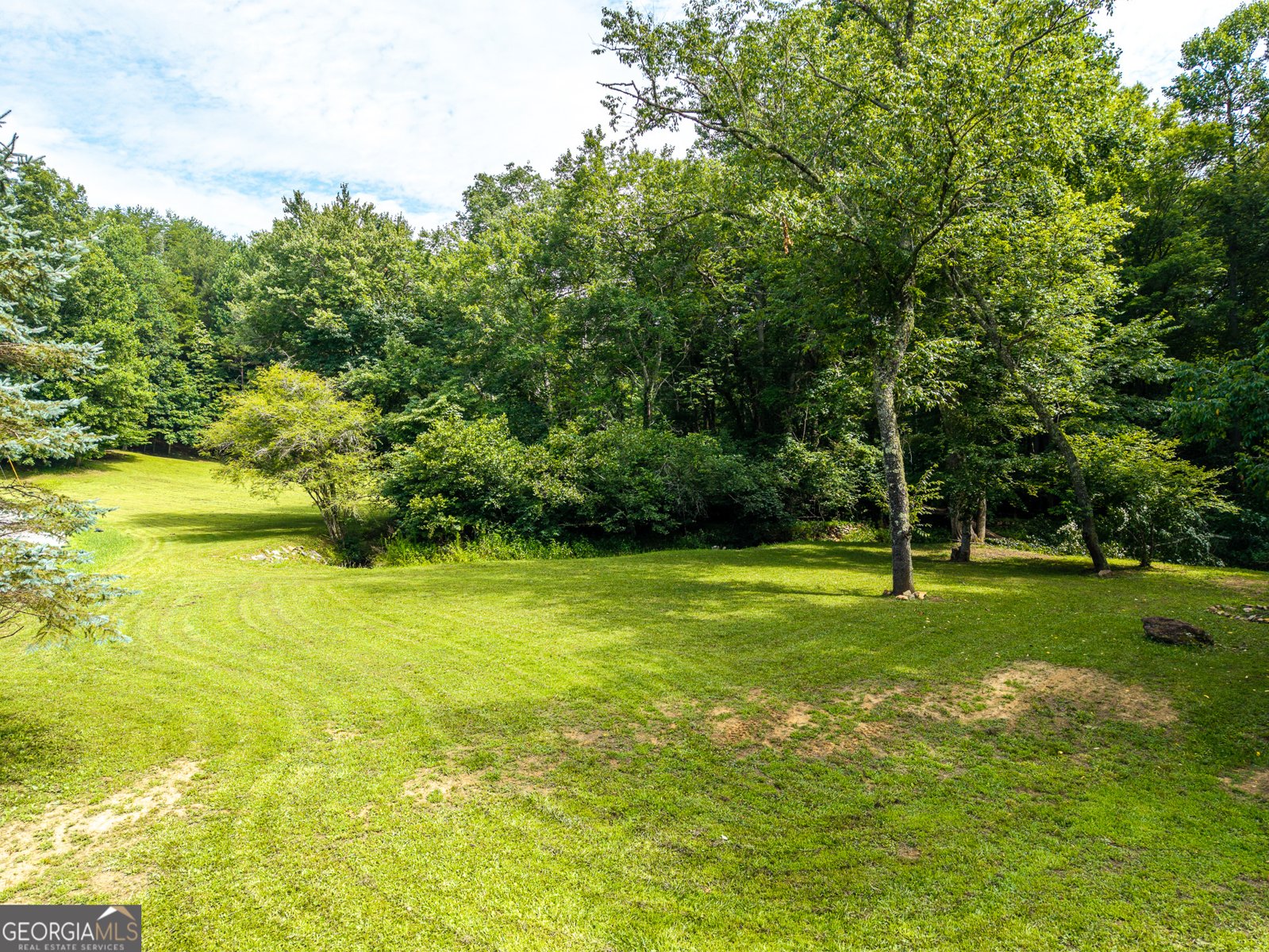 1347 Ivylog Drive Blairsville - Photo 48