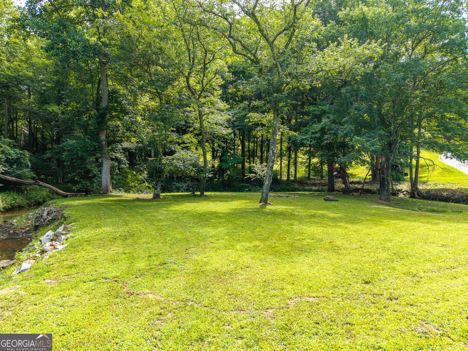 1347 Ivylog Drive Blairsville - Photo 50