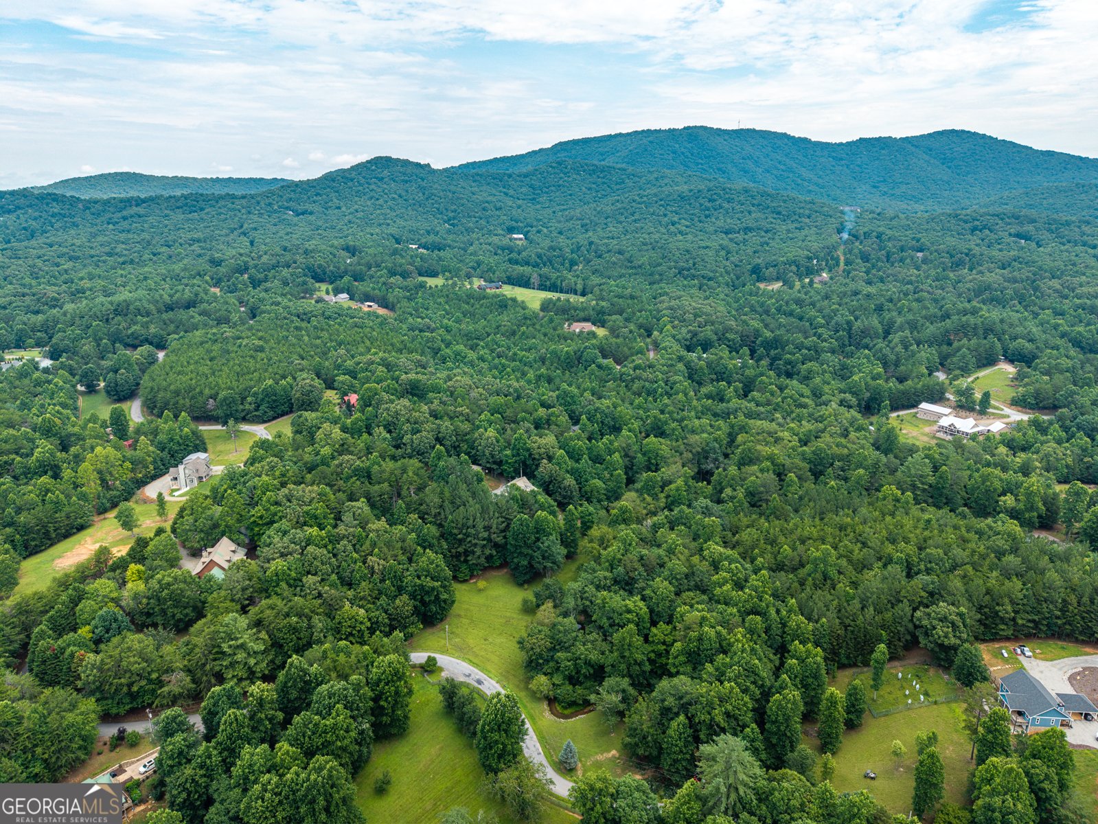 1347 Ivylog Drive Blairsville - Photo 61