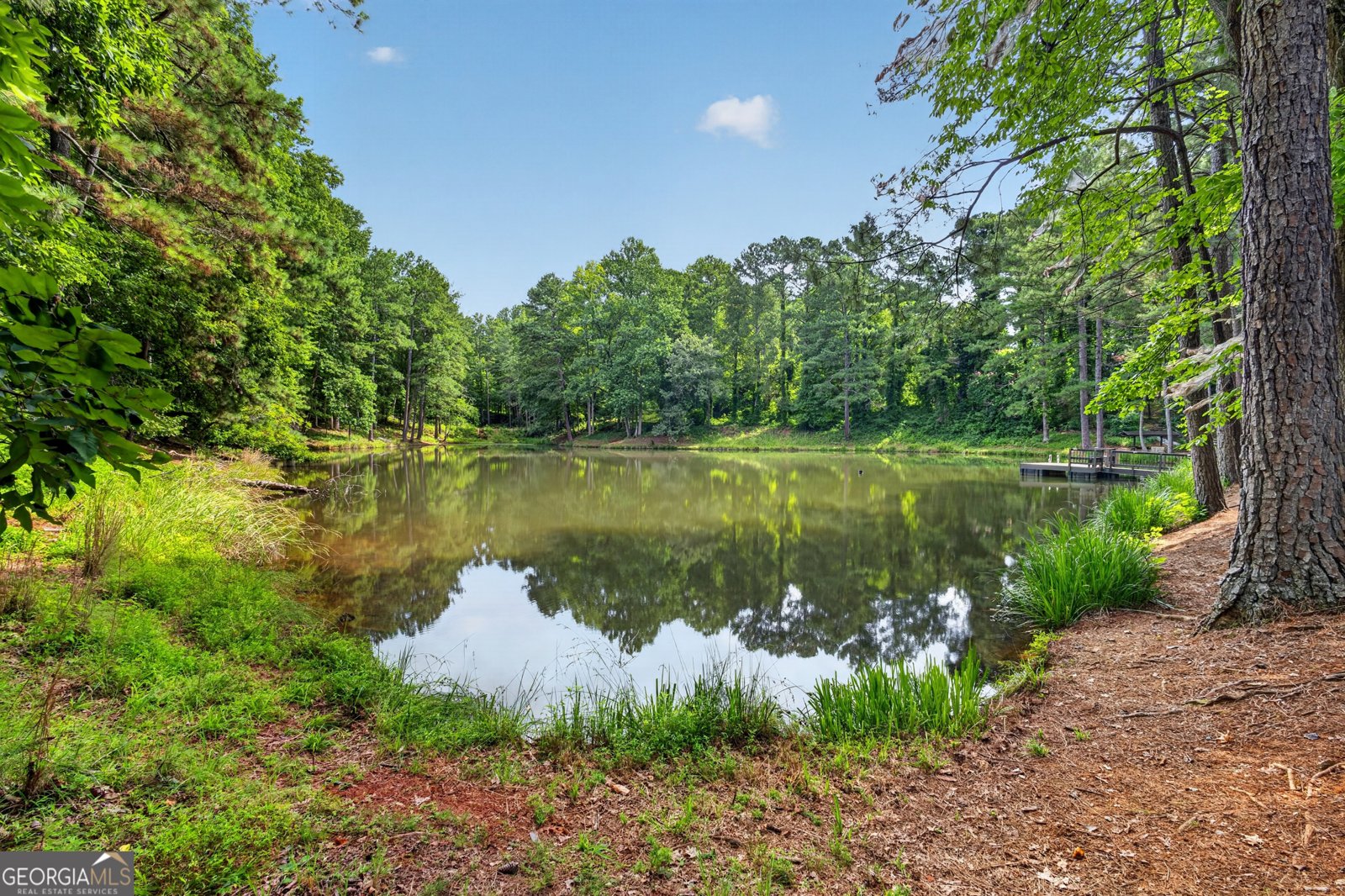 5417 Woodstream Court Gainesville - Photo 51