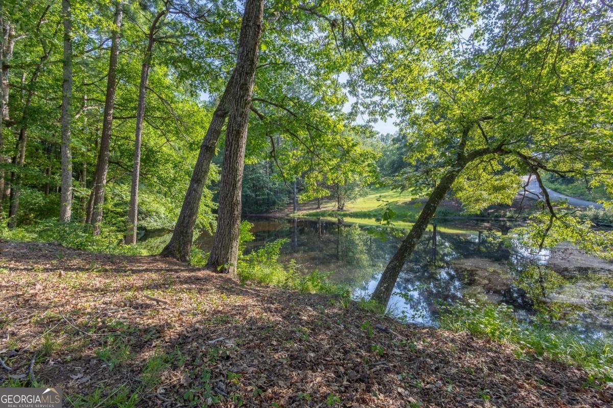 45 Lee Drive Carrollton - Photo 30