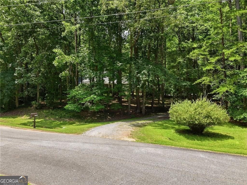 2151 Holly Brook Lane Canton - Photo 64