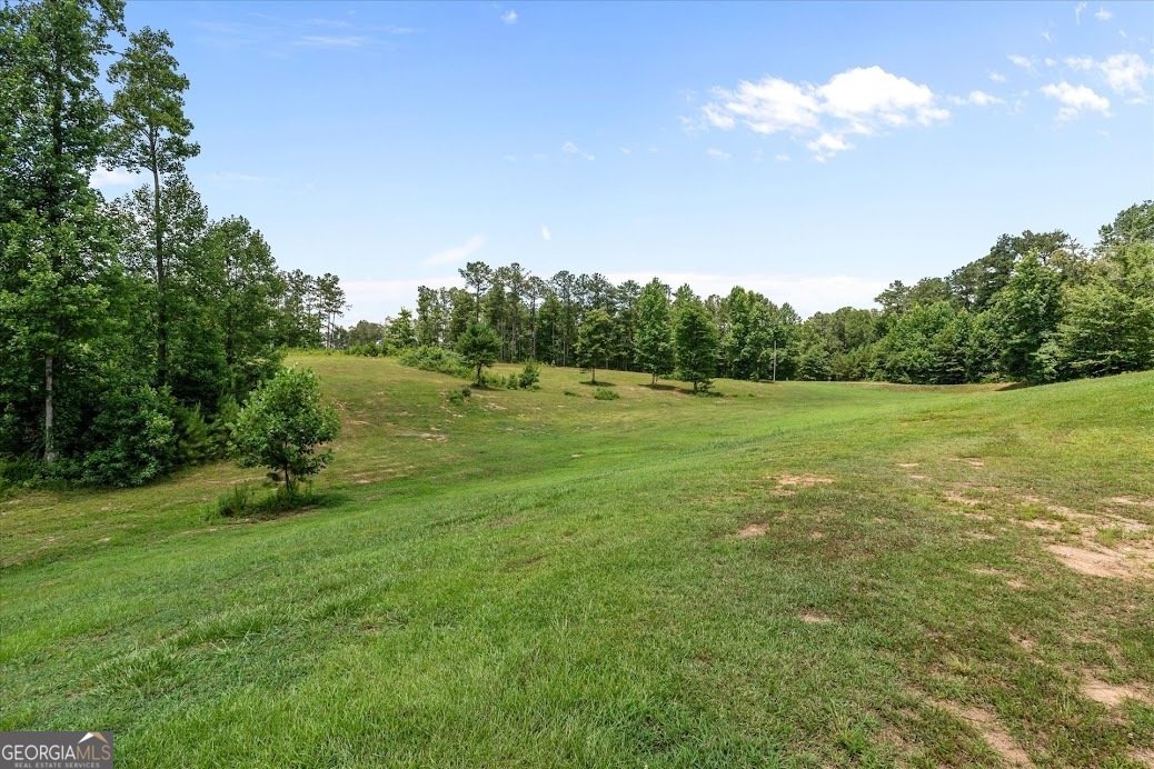 160 Shoemake Road Carrollton - Photo 51