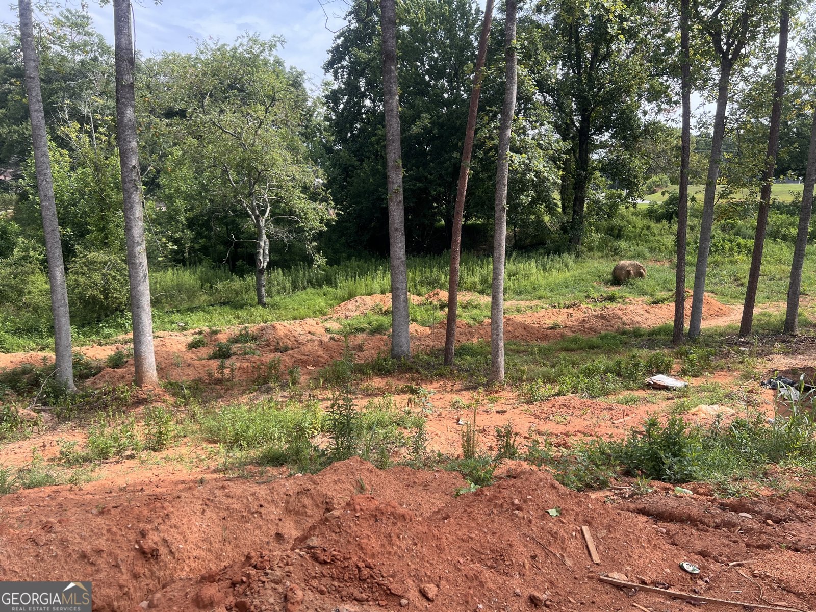 2063 Highway 197 Clarkesville - Photo 33