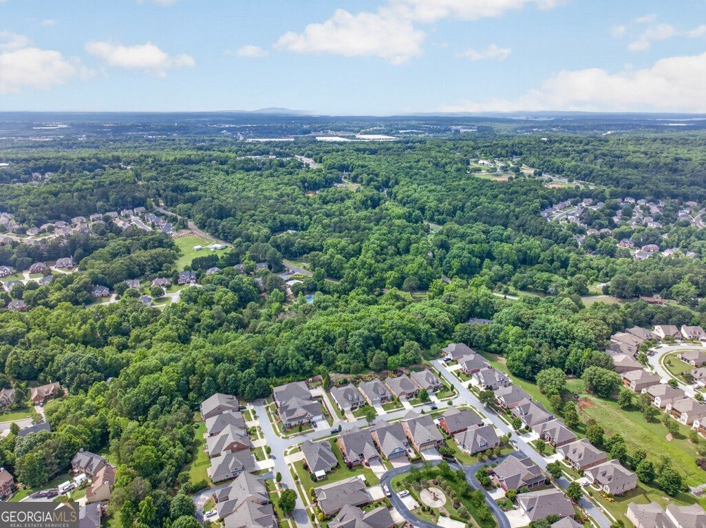 2753 Bungalow Place Buford - Photo 84