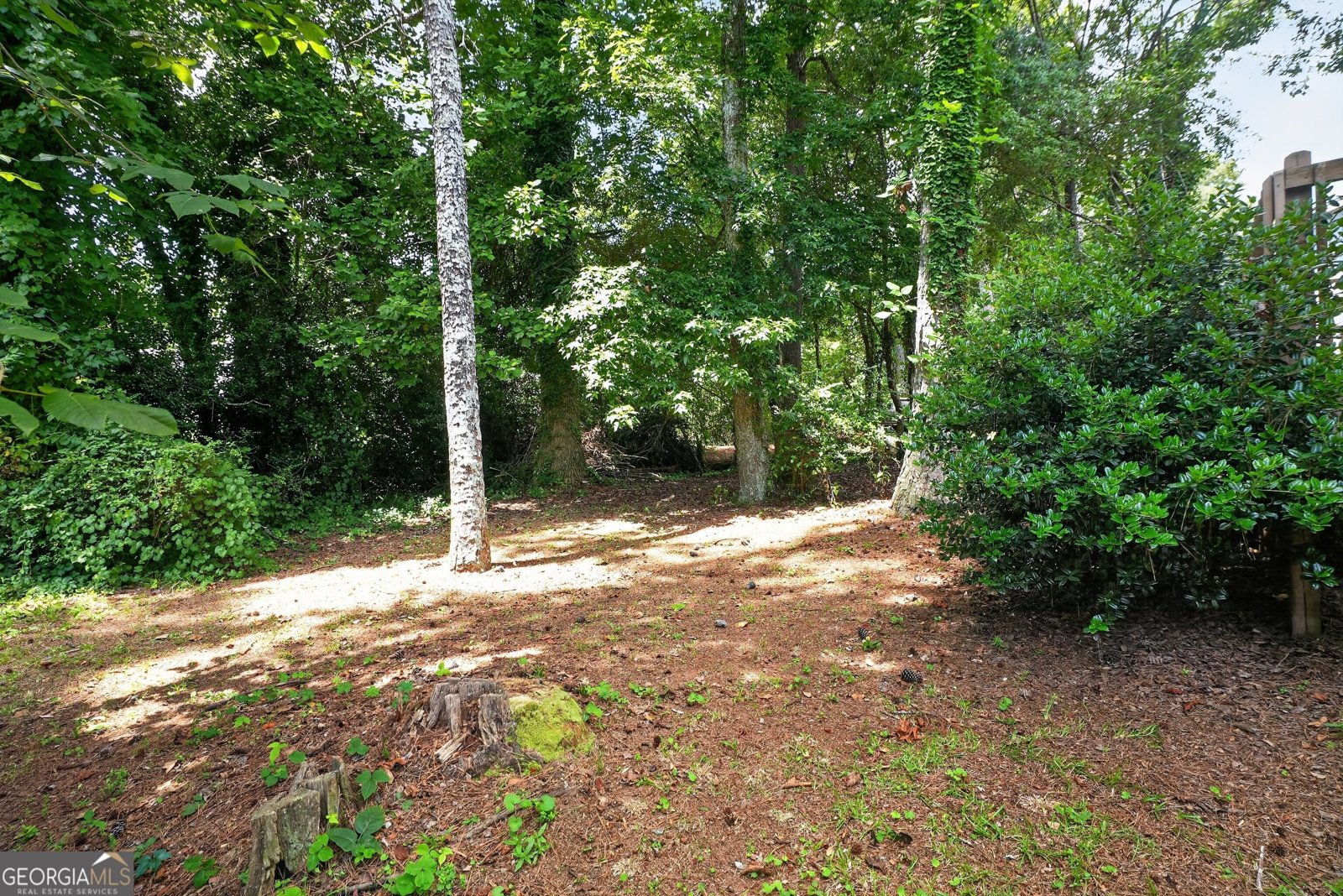 2045 Marbut Forest Drive Lithonia - Photo 7