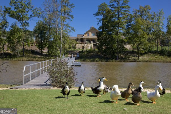 7719 Copper Kettle Way Flowery Branch - Photo 45