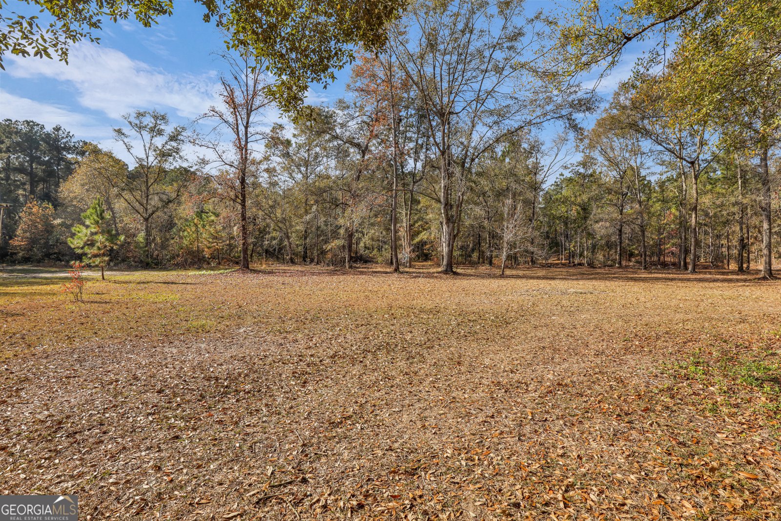 4931 Mill branch club road Pembroke - Photo 15