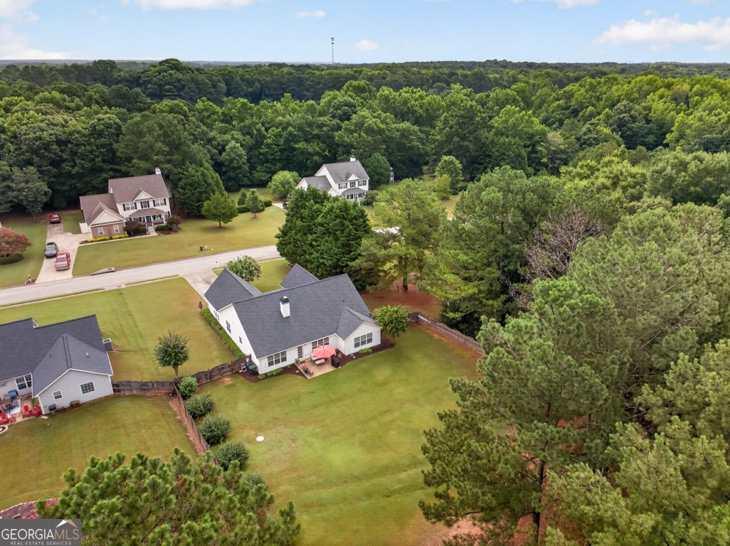 334 Annslee Circle Loganville - Photo 29