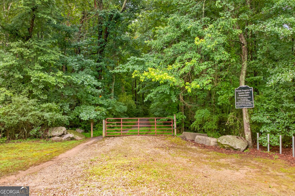 334 Annslee Circle Loganville - Photo 31